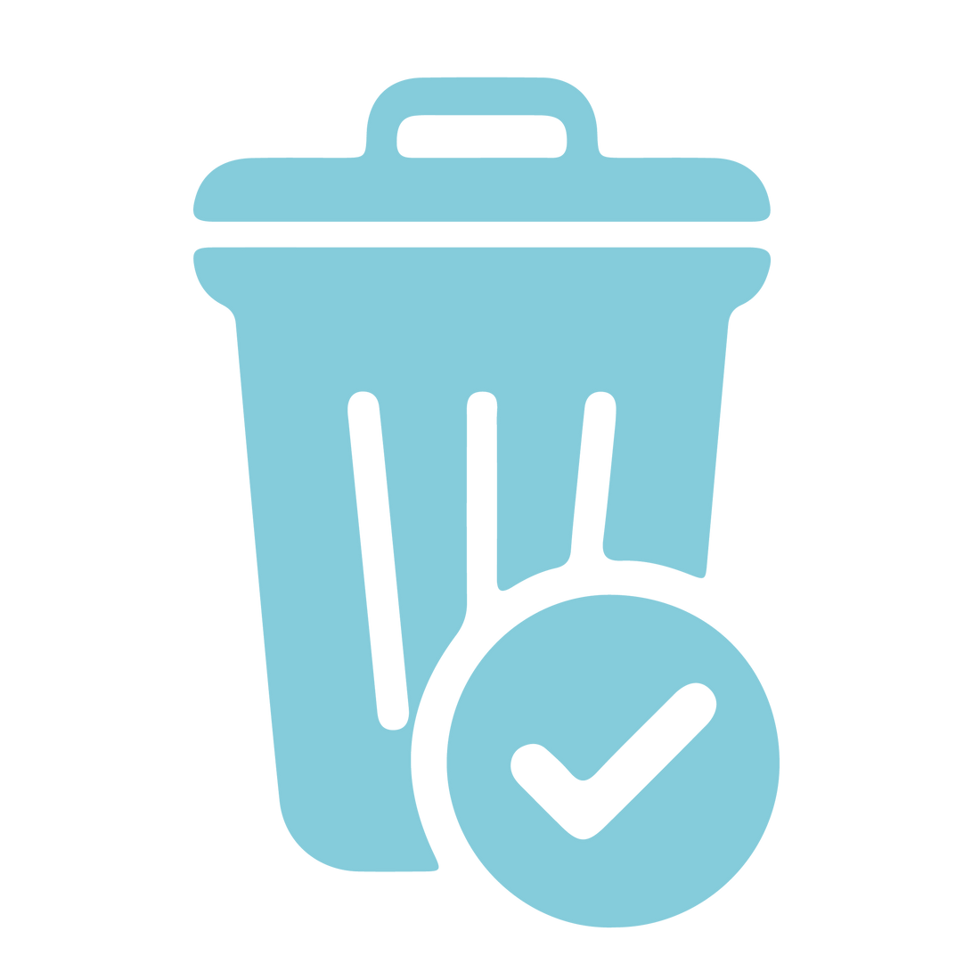 <strong>Cleanup & Packaging Removal</strong>